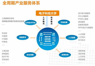 科技賦能，精益運營 電子科大科技園晉級國家級孵化器的實踐與啟示