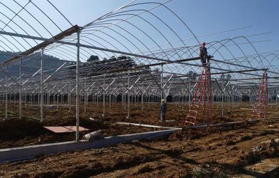 貴州黔西 智慧農(nóng)業(yè)生態(tài)谷引領(lǐng)現(xiàn)代農(nóng)業(yè) 托管服務(wù)助鄉(xiāng)村振興新篇章