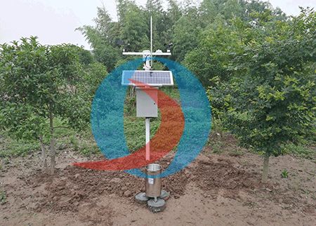 科技賦能田野 小型氣象監(jiān)測(cè)站與托管服務(wù)引領(lǐng)現(xiàn)代農(nóng)業(yè)新變革