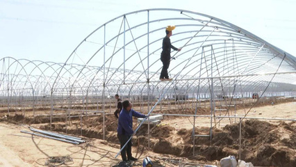 朔城區(qū) 夯實(shí)農(nóng)業(yè)基礎(chǔ)設(shè)施根基，譜寫(xiě)現(xiàn)代農(nóng)業(yè)發(fā)展新篇章