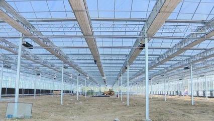 濰城 強化服務(wù)保障，農(nóng)業(yè)企業(yè)托管服務(wù)推動重點項目建設(shè)再提速