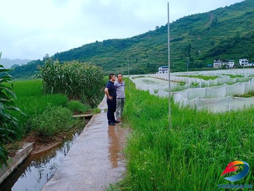 聚力破解歷史難題，夯實農(nóng)業(yè)發(fā)展根基——縣農(nóng)業(yè)農(nóng)村委扎實推進(jìn)農(nóng)業(yè)基礎(chǔ)設(shè)施建設(shè)