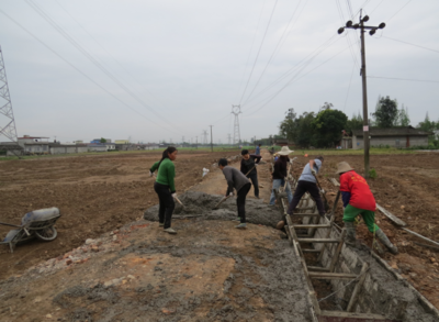 按下“快進鍵”！東坡區高標準農田建設正酣，筑牢現代農業發展根基