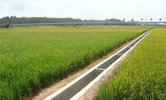 國家新政策 全國種地農民3個月內可領3072元，助力農業基礎設施升級